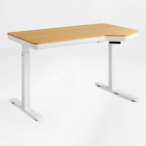 Prime Electric Standing Desk with RGB Lighting (55"x34")
