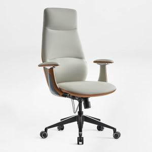 Eureka Ergonomic Cruz Executive Office Chair product showcase 