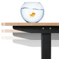 E60, Standing Desk