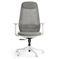 Skylar-Lite, Duo Hue Ergonomic Office Chair
