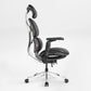 Forma, Ergonomic Executive Office Chair