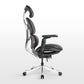 [Coming Soon]Forma, Ergonomic Executive Office Chair