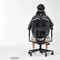 Flex, Ergonomic Office Chair
