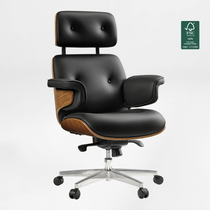 Eureka Ergonomic Mathias Executive Office Chair BLACK Front 