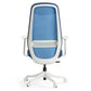 Skylar-Lite, Duo Hue Ergonomic Office Chair