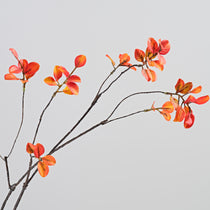 ALD-01 Fall Ficus Branches. Realistic Orange and Yellow Leaves for Fall Home Decor. Natural Touch.