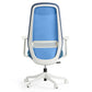 Skylar-Lite Duo Hue Office Chair