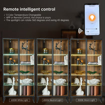 Eureka Curio Cabinet With Adjustable Shelves, Led Lighting, and Remote Control; Showcasing the 3 Color Temperature Options.