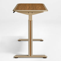 Norwood Standing Desk (55"x23")