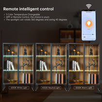 Modern Curio Cabinet With Adjustable Led Lighting, Remote Control, and Glass Doors, for Collectible Display.