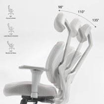 Divio,Dual-Backrests Ergonomic Office Chair