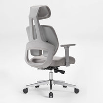 Divio,Dual-Backrests Ergonomic Office Chair