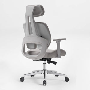 Divio,Dual-Backrests Ergonomic Office Chair
