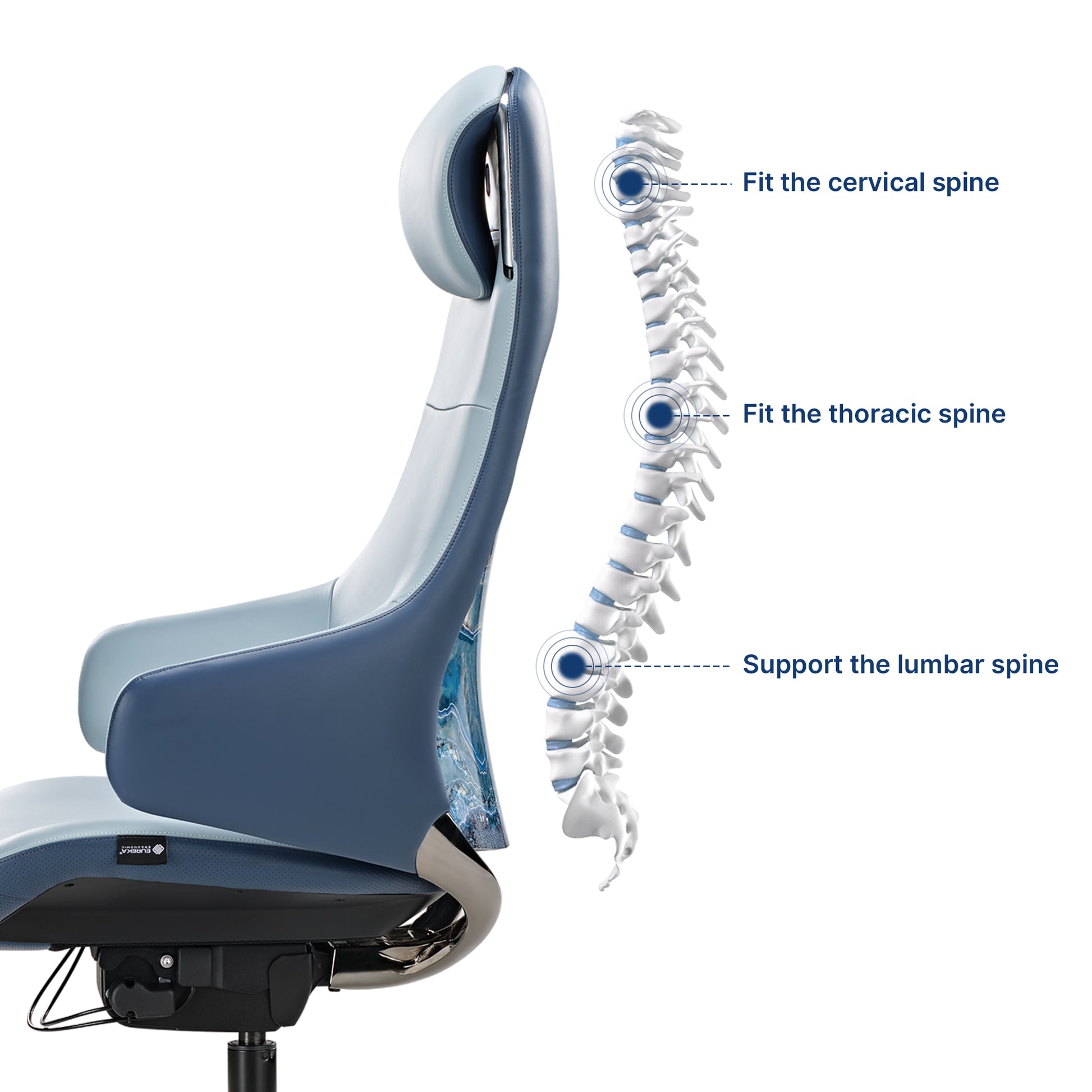 Ergonomic Executive Chair，Bule