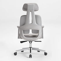 Divio,Dual-Backrests Ergonomic Office Chair