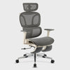 Alex, Ergonomic Office Chair with Footrest - Gray