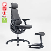 LiberNovo Omni Dynamic Ergonomic Office Chair with StepSync Footrest Graphite