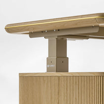 Eureka Ergonomic Aurelia Standing Desk with Dual-Motor Lift System