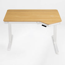 Prime Electric Standing Desk with RGB Lighting (55"x34")