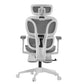 Alex, Ergonomic Office Chair with Footrest