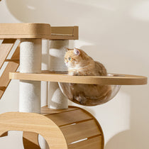 Eureka Ergonomic Golden cat lounging on Babylon 76" extra large cat tree with natural wood, sisal posts, and clear dome perch.