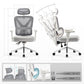 Exis,Ergonomic Office Chair