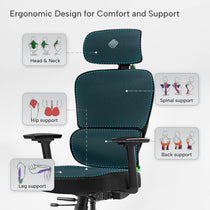 Ergonomic office chair with labeled support features on a white background, green, fabric