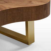 Cloud Coffee Table Set Detail With Walnut Wood Top and Gold Leg, Modern Design.