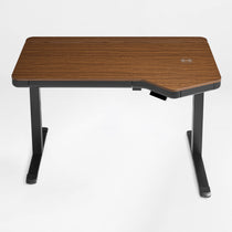 Prime Electric Standing Desk with RGB Lighting (55"x34")