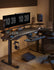 Eureka Ergonomic