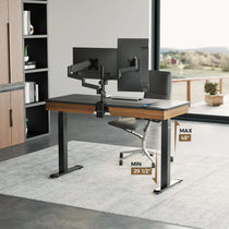 Electric Standing Desk With Dual Monitors, Wood Finish Desktop and Height Range From 29 1/2 to 48.
