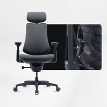 LiberNovo Omni, Ergonomic Office Chair
