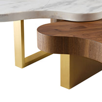 Cloud Coffee Table Set Detail, White Marble and Walnut With Golden Legs, Modern Design.