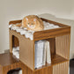 Pawlio, 72" Owner & Pet Shared Bookshelf Cat Tree