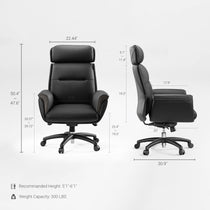 Executive Office Set：Zen Pro Standing Desk & Premium Executive Chair