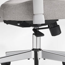 Divio,Dual-Backrests Ergonomic Office Chair