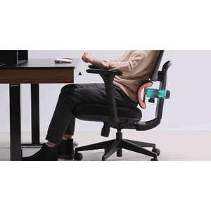 Cyra, Ergonomic Office Chair