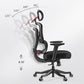 Axion, Ergonomic Hybrid Chair