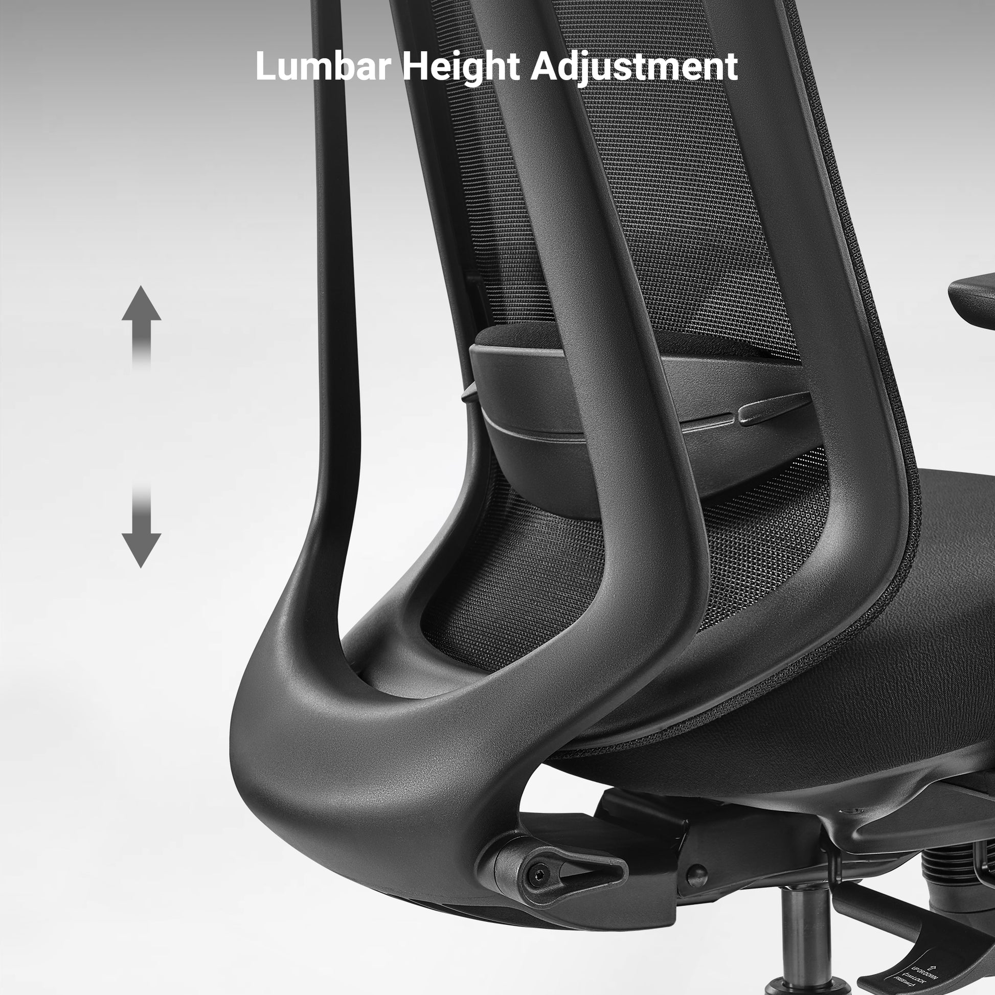 Nico Ergonomic Office Chair With Black Mesh Back, Adjustable Back Curve&Lumbar Support, Ergonomic Design, Lumbar Height Adjustment