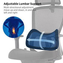 Lark Ergonomic Office Chair With Adjustable Lumbar Support, Multi-Directional Adjustment for Spinal Health.