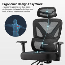 Eureka Ergonomic Exis ergonomic office chair with lumbar support diagram, highlighting shoulder, back, waist, and hip support zones.