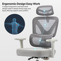Eureka Ergonomic Exis ergonomic chair highlighting shoulder, back, waist, and hip support zones with anatomical diagram.