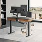 47'' /55'' Two-Drawer Electric Standing Desk, Wood Finish