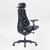 LiberNovo Omni, Ergonomic Office Chair