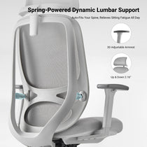 Eureka Ergonomic office chair with spring-powered dynamic lumbar support and 3D adjustable armrests
