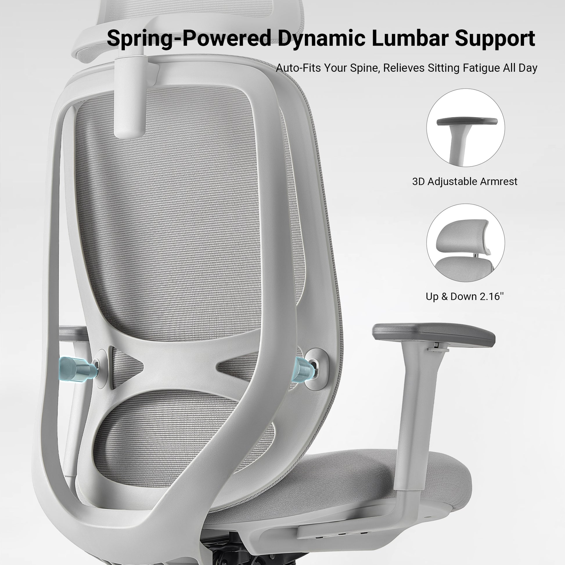 Eureka Ergonomic office chair with spring-powered dynamic lumbar support and 3D adjustable armrests