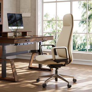 Eureka Ergonomic Alto Executive Office Chair in premium leather with ergonomic support