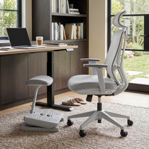 Dual-Level Ergonomic Office Foot Rest
