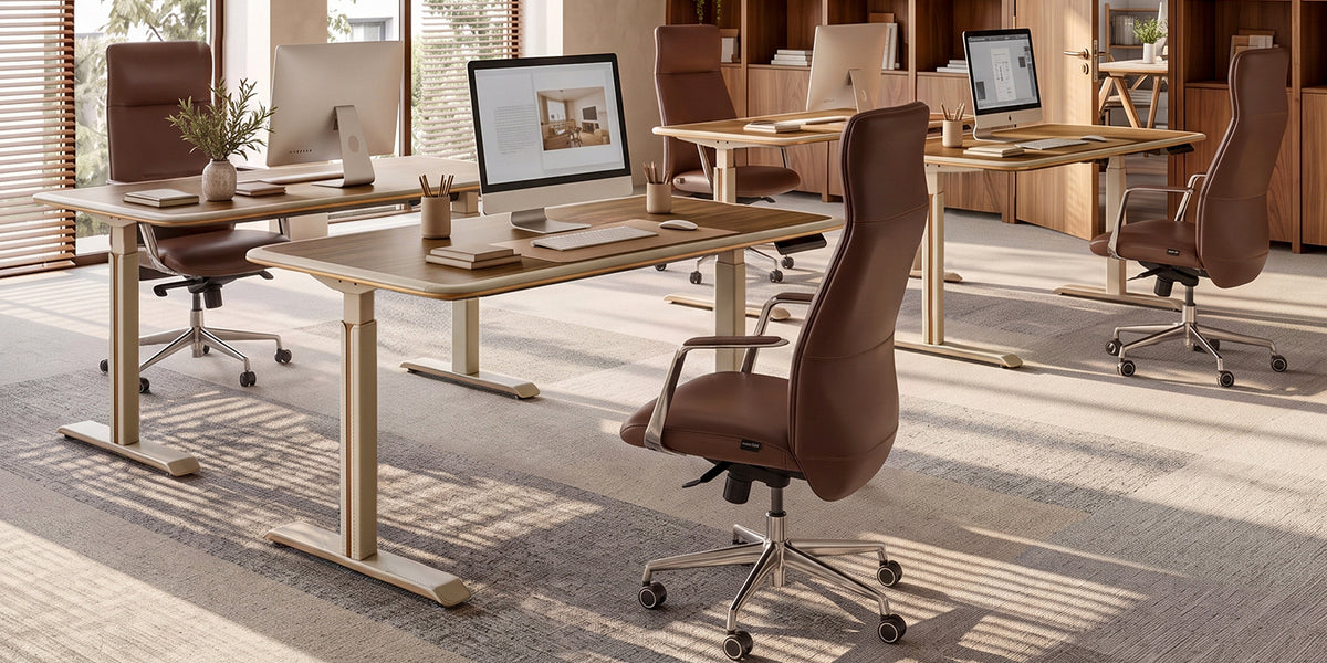 Eureka Ergonomic