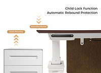 Ark ES, 60x26 Executive Standing Desk